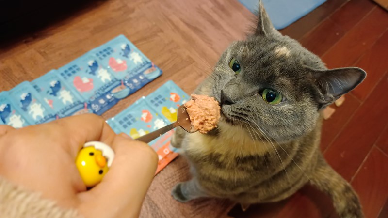 女人知己試用大隊,口碑行銷,部落客行銷,自然食 成長機能主食餐包,自然食,成長機能狗狗主食餐包,成長機能貓咪主食餐包,滿足毛孩最單純的幸福,人食等級食材,開封即食,綿密的肉泥狀質地,好吸收,無膠類,無色素,無防腐劑的添,維持腸道健康,添加DHA/靈芝多醣體,使用高優質蛋白,適口性佳,狗狗口味,犬用營養火雞,犬用嫩雞牛肉,貓咪口味,貓用營養嫩雞,貓用嫩雞鮪魚